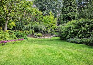 Optimiser l'expérience du jardin à Chateauneuf-d'Oze
